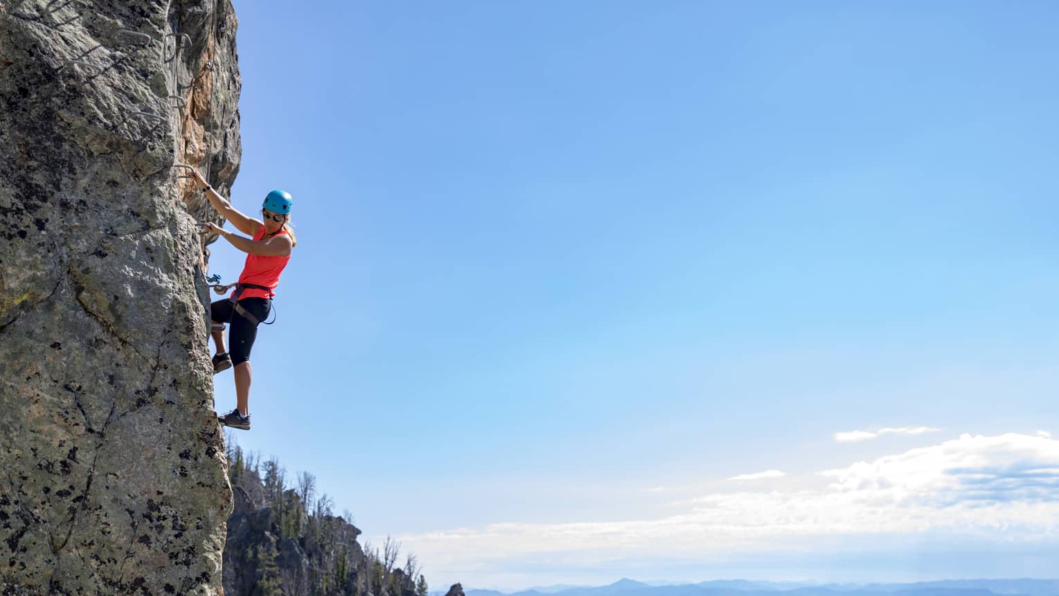 A person rock climbing with trees in the distance.