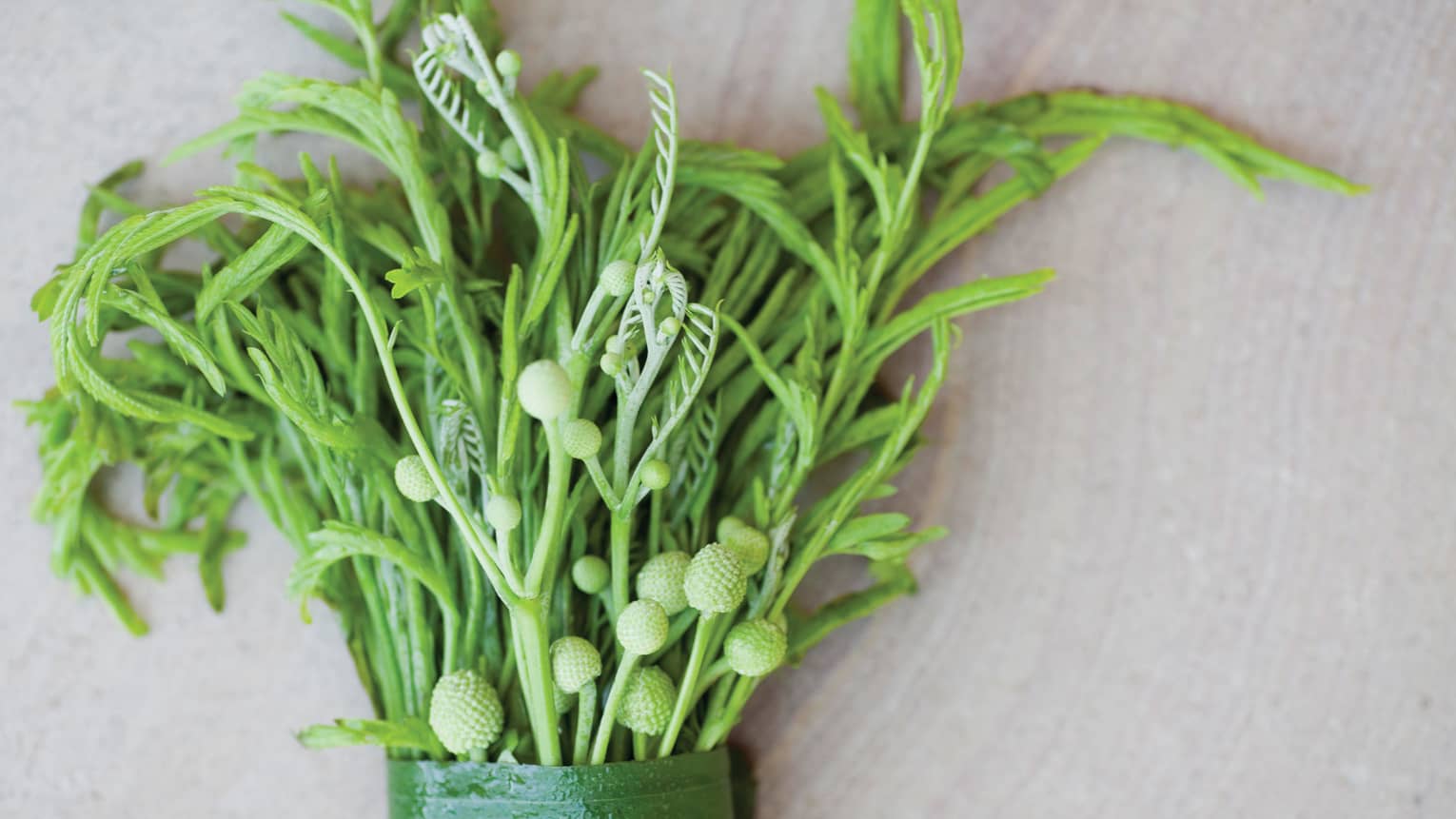 A bundle of greenery wrapped in green floral tape