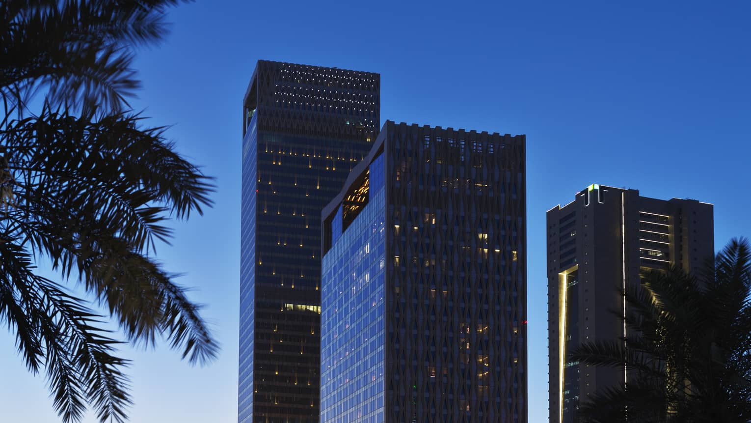 An evening city scape with a palm tree silhouette in the foreground and skyscrapers in the background