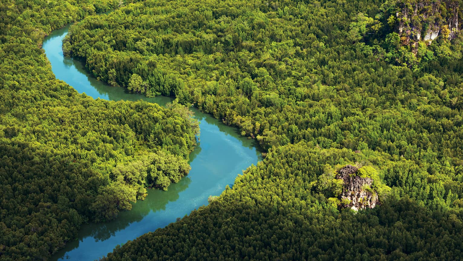 Aerial view of blue river winding through green forest