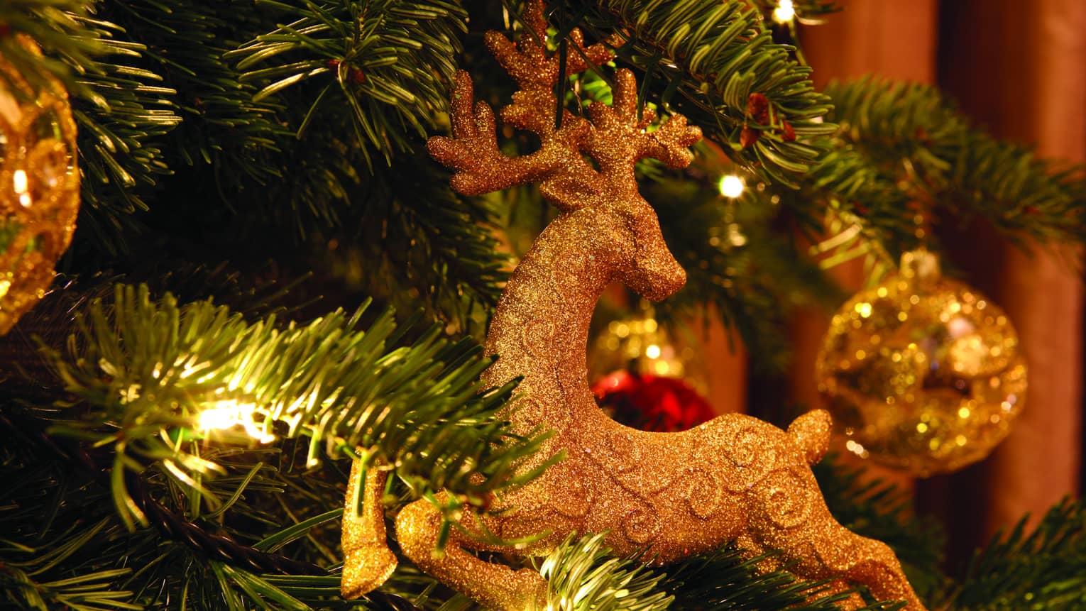 A reindeer ornament hung on a tree