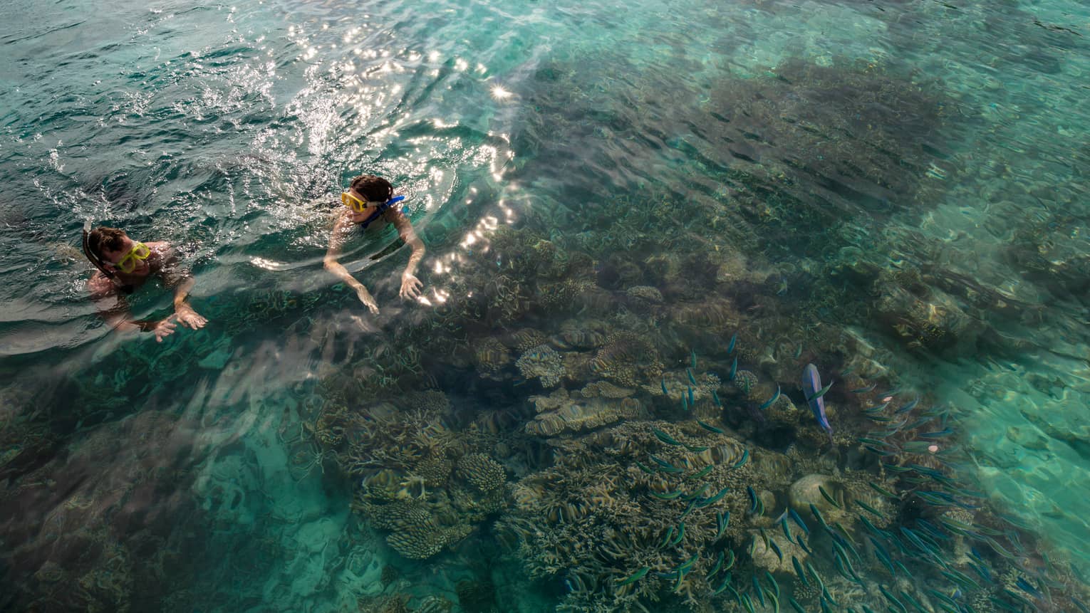 Man, woman wearing snorkelling masks float in lagoon near coral, tropical fish