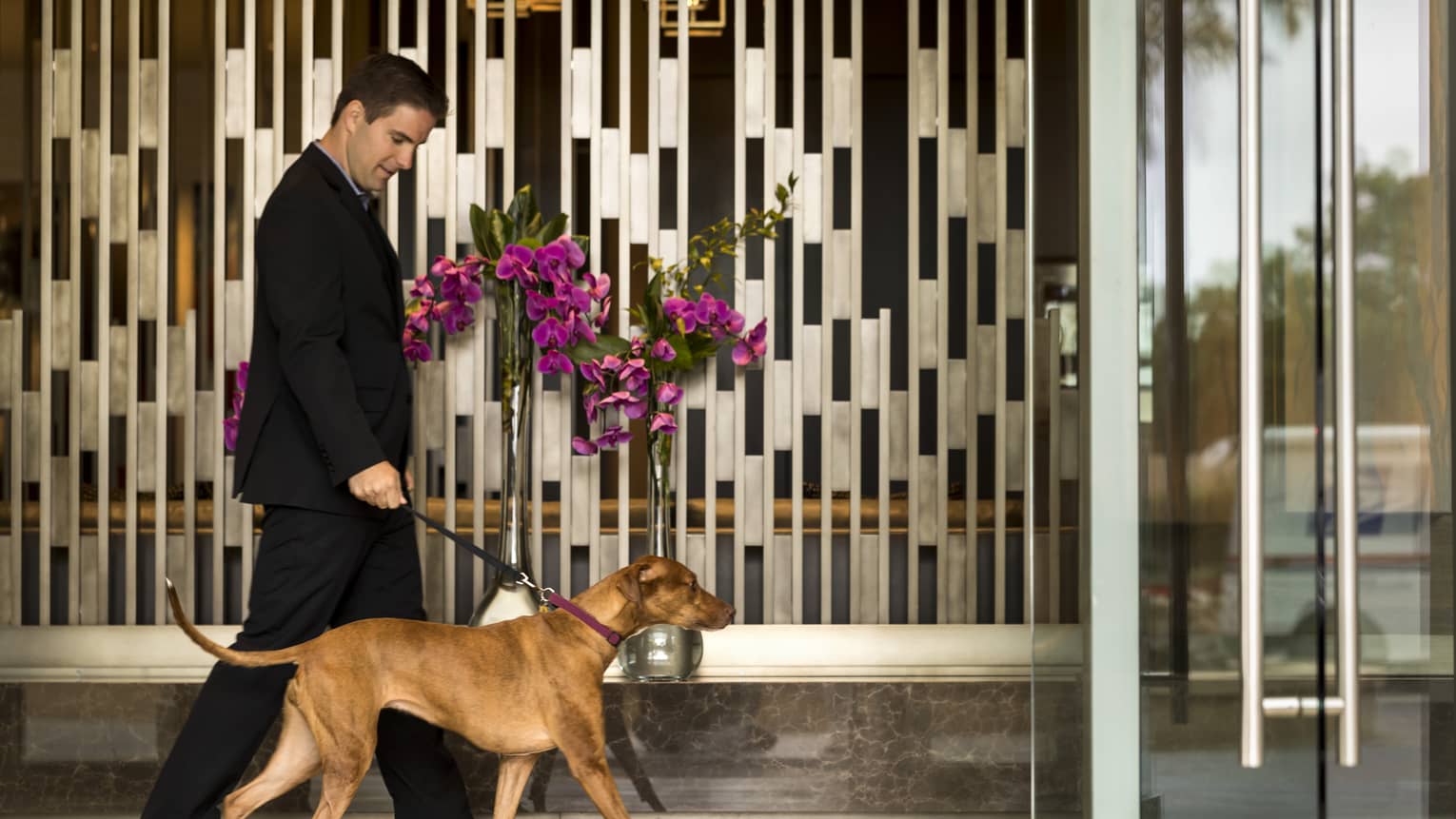 Man wearing suit leads dog on leash to hotel lobby doors