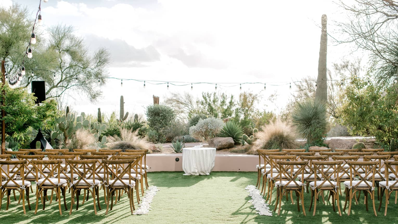 An outdoor wedding venue with a string of lights above and plants surrounding the venue