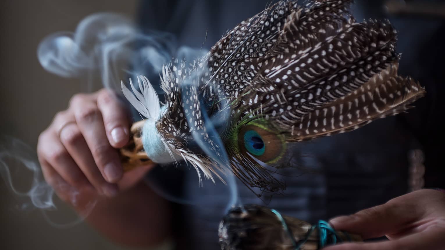 Close-up of smoke rising from sage, feathers used for smudging ceremony