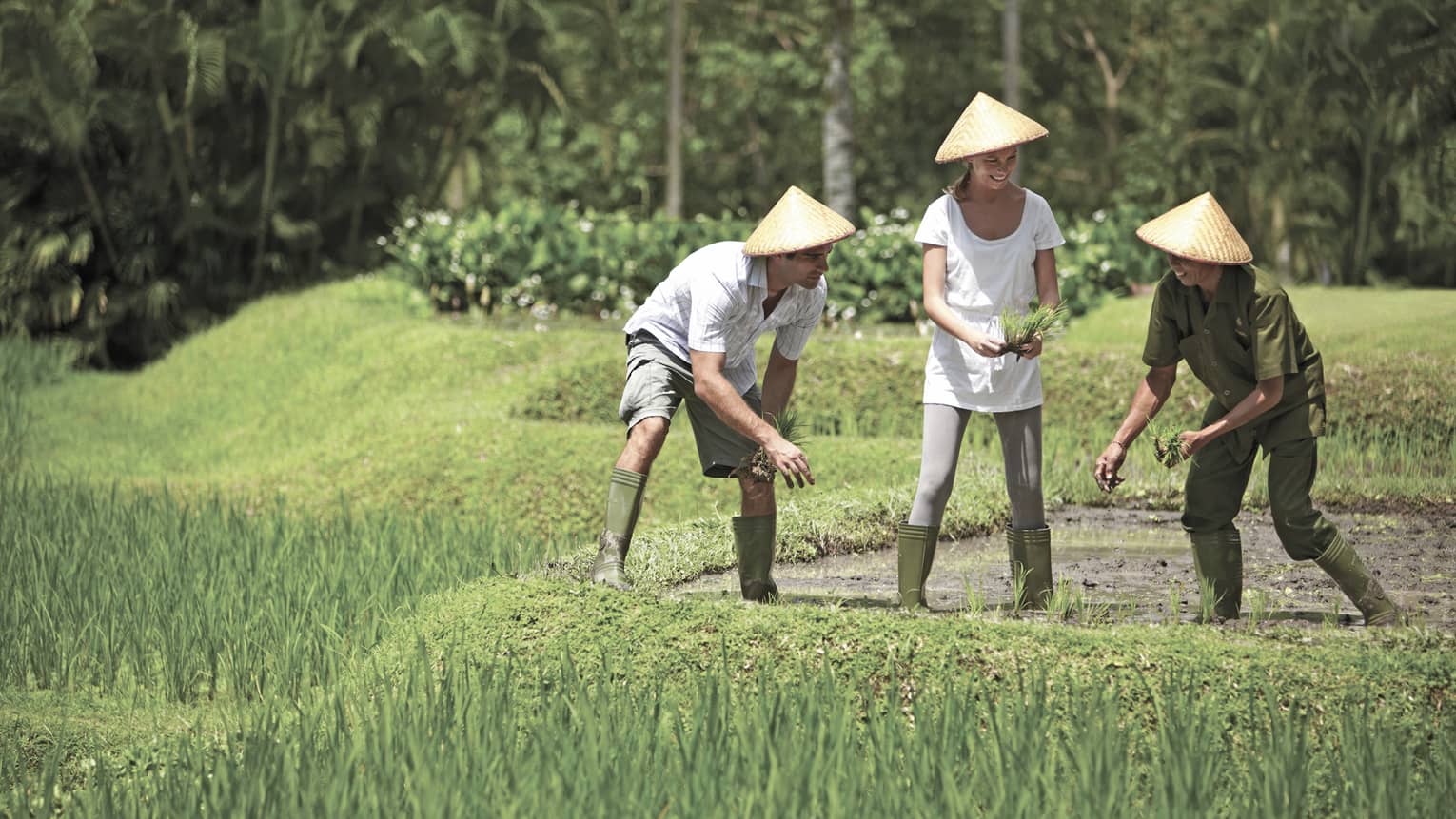 Man and woman in straw farmers hats kneel over garden, help gardener in rice paddie field