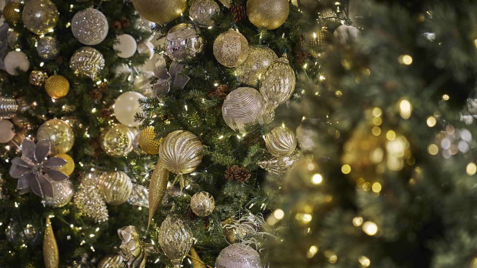 Closeup of Christmas tree with gold ornaments and white string lights