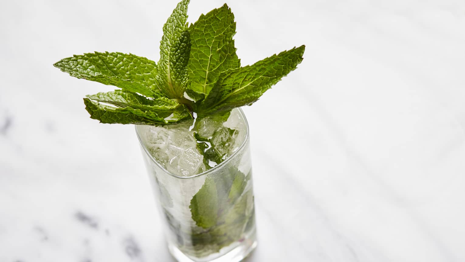 Looking down at Ritz Mojito with fresh mint leaves on top of rock glass with ice, cocktail