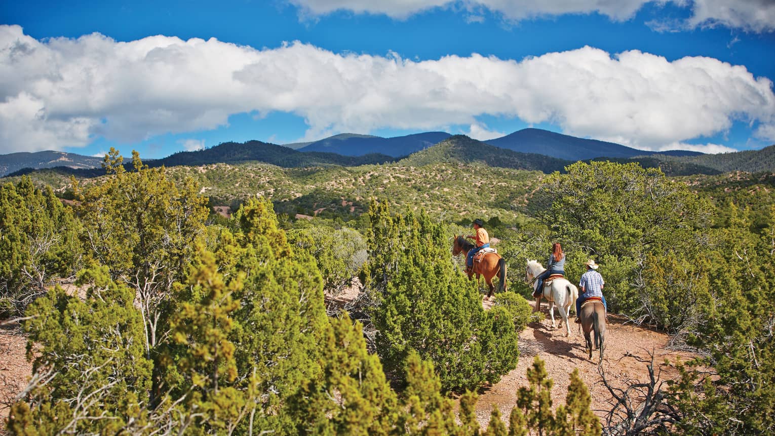 Three people horseback riding through trail, brush on desert mountain