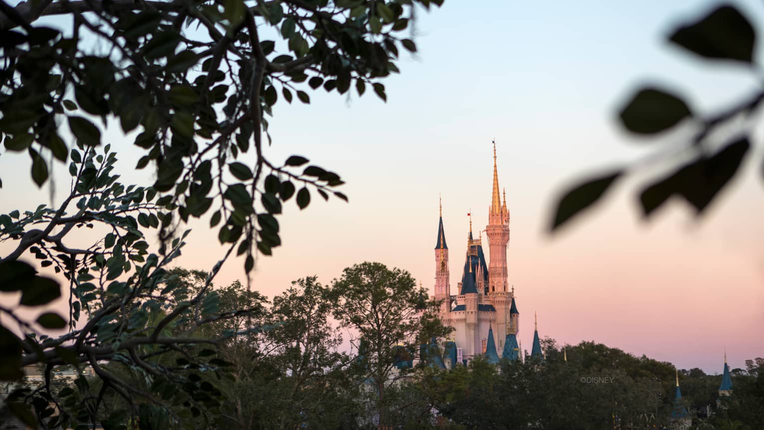 A view through the trees of the sunsetting over of Disney World's castle in Orlando 