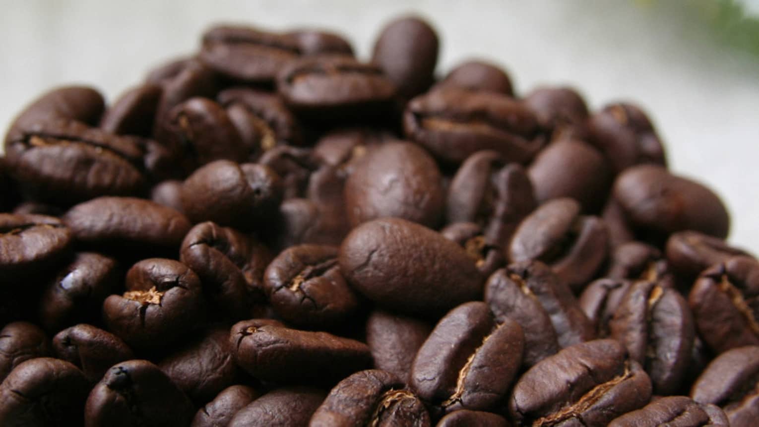 Close-up of roasted Hawaii Island Coffee Farm beans