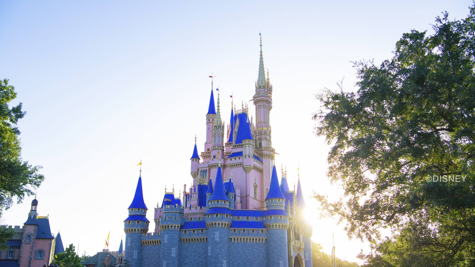 A pink, blue and white castle with sunlight behind it and it behind trees.