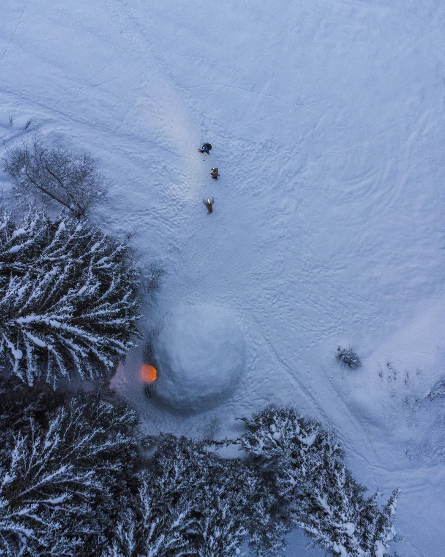 Aerial view of an igloo at night; firelight spills out the doorway onto the trees and footprints cross the fresh powder. 