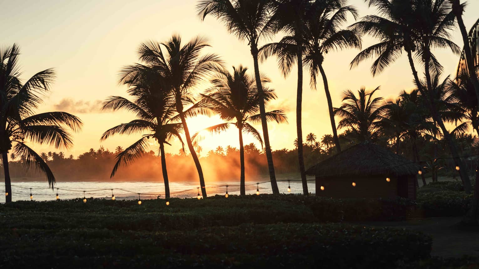 Tropical beach with palm trees at dusk