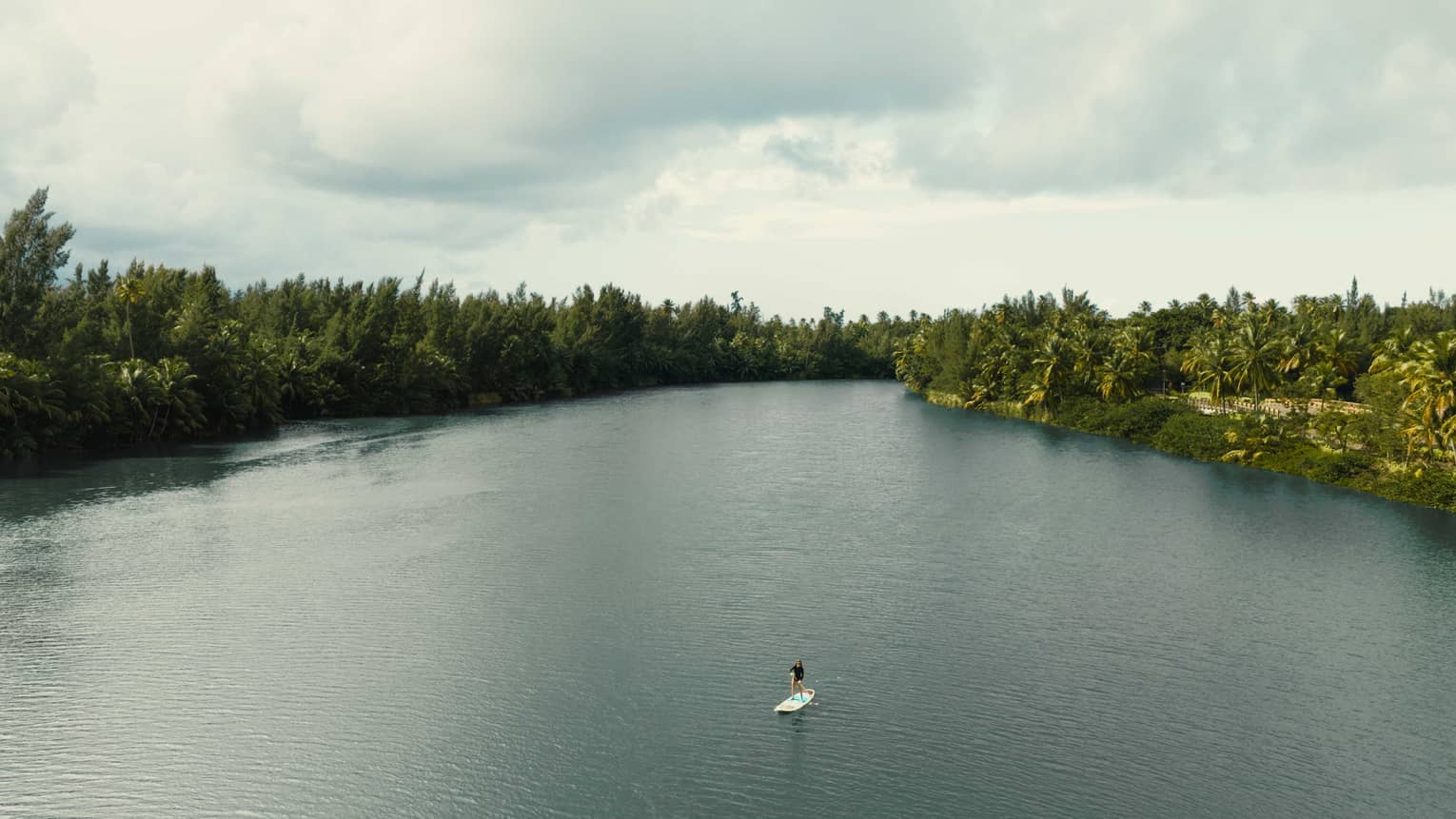Aerial view of person on stand-up paddleboard on the water, surrounded by lush trees