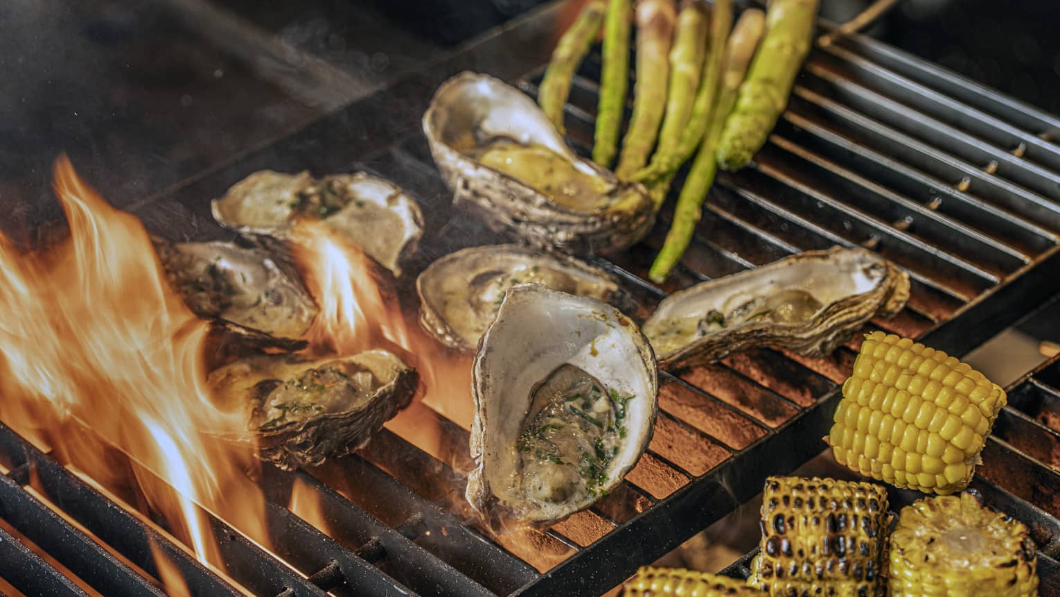 Oysters on the half shell, halved ears of charred corn and stalks of asparagus on an open-flame grill