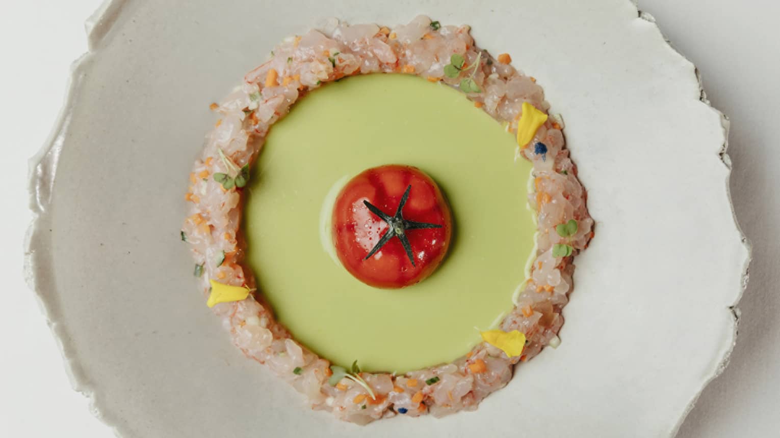 Aerial view of tomato in sauce with ring of chopped fish
