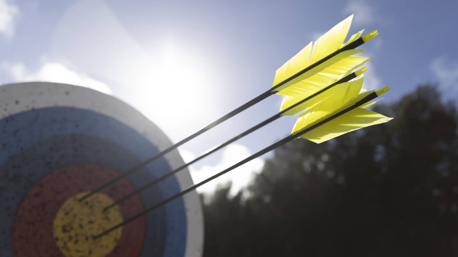 A close-up of yellow feathered arrows that had struck the bull’s eye of a heavily used ringed archery target on a sunny day.
