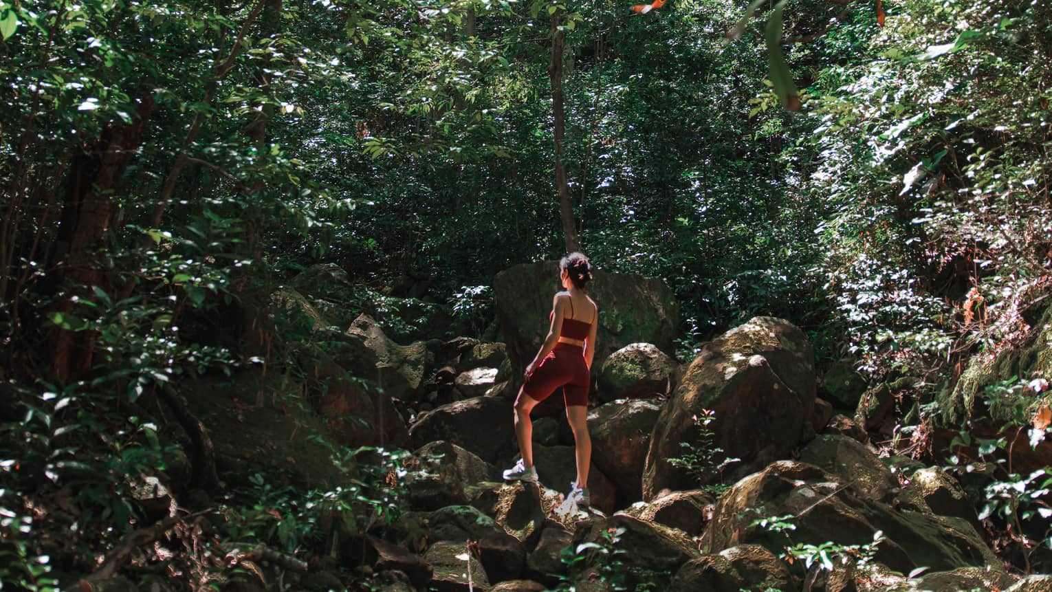 Woman in athletic wear standing atop a rocky hill and surrounded by green forest