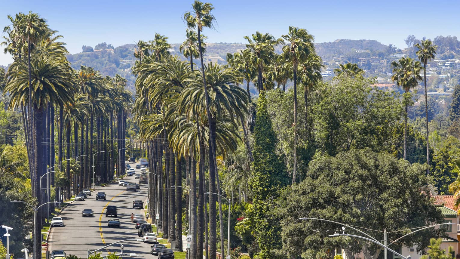 Elevated view of Beverly Hills roadway lined with palm trees