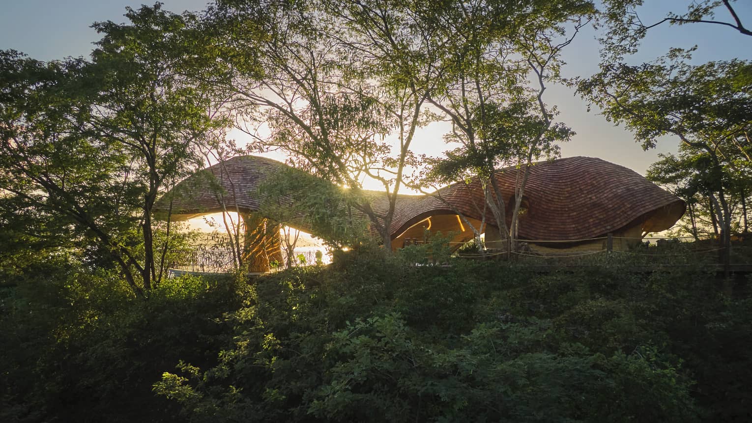 Organic-shaped shala on a tree-covered hilltop