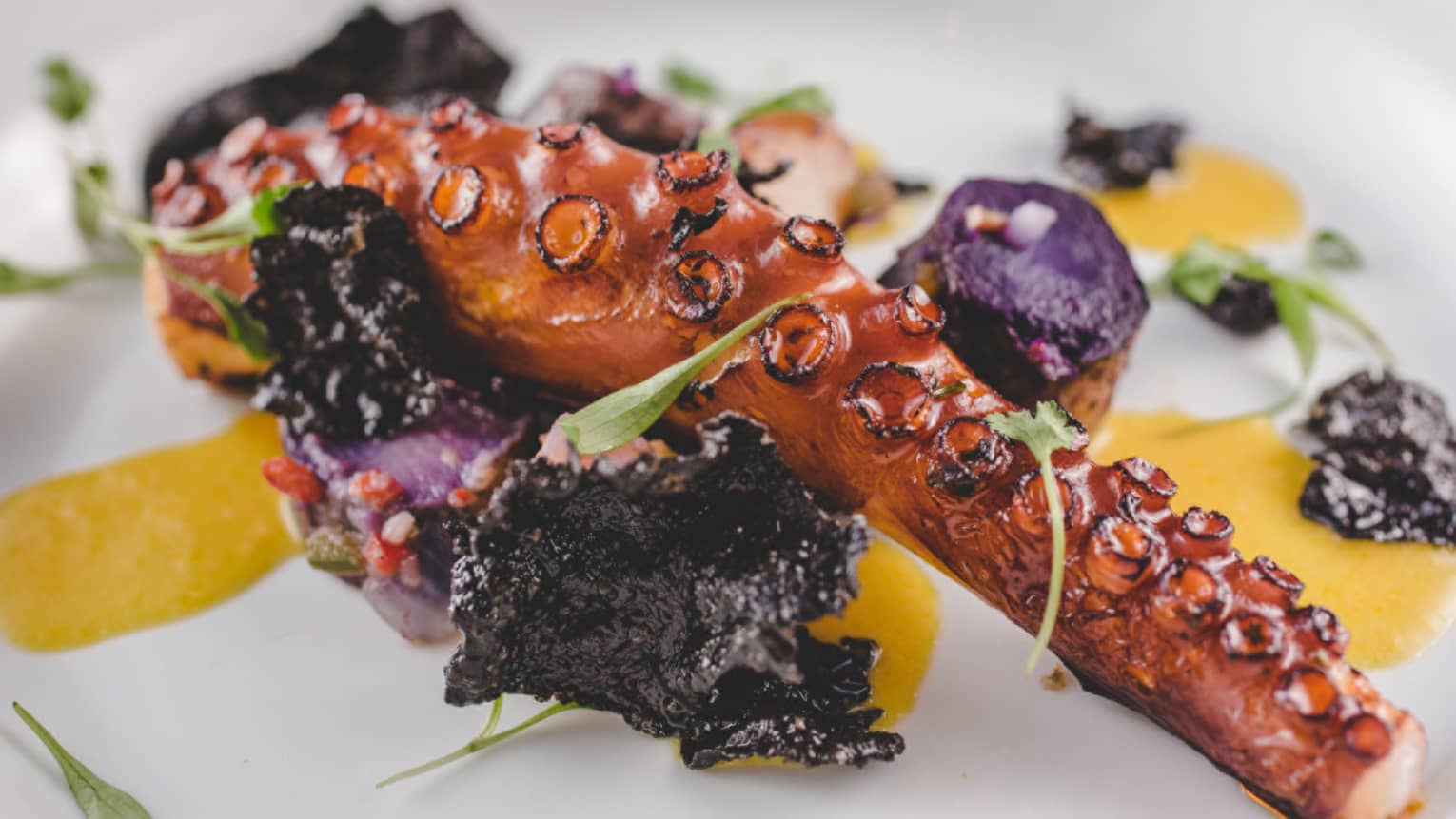 An octopus tentacle in a roasted yellow pepper sauce