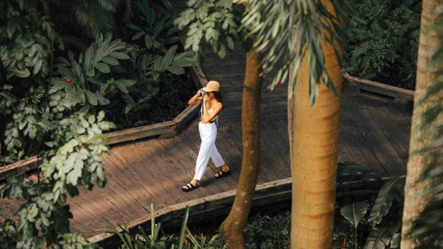 A person walks on a nature pathway in tropical forest