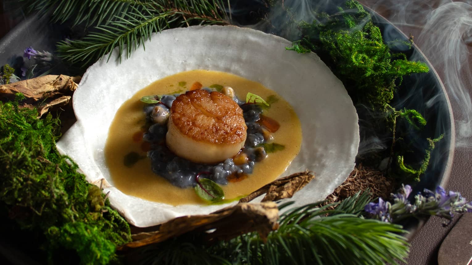 A scallop-shaped plate holds a cooked scallop on a bed of cooked greens all atop a caramel-colouredsauce.