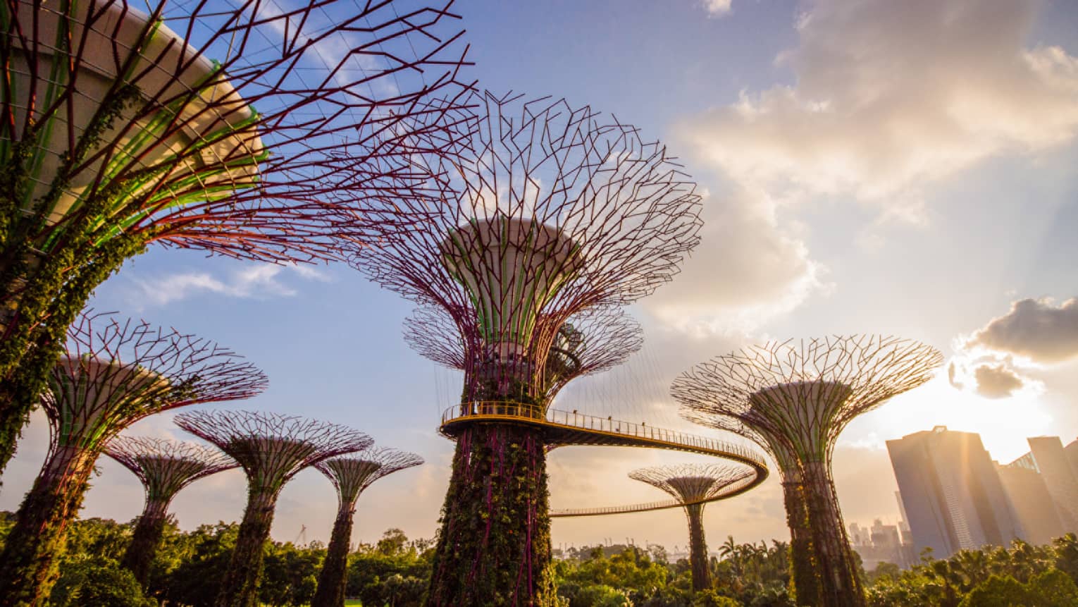 A view of modern art in Gardens by the Bay in singapore