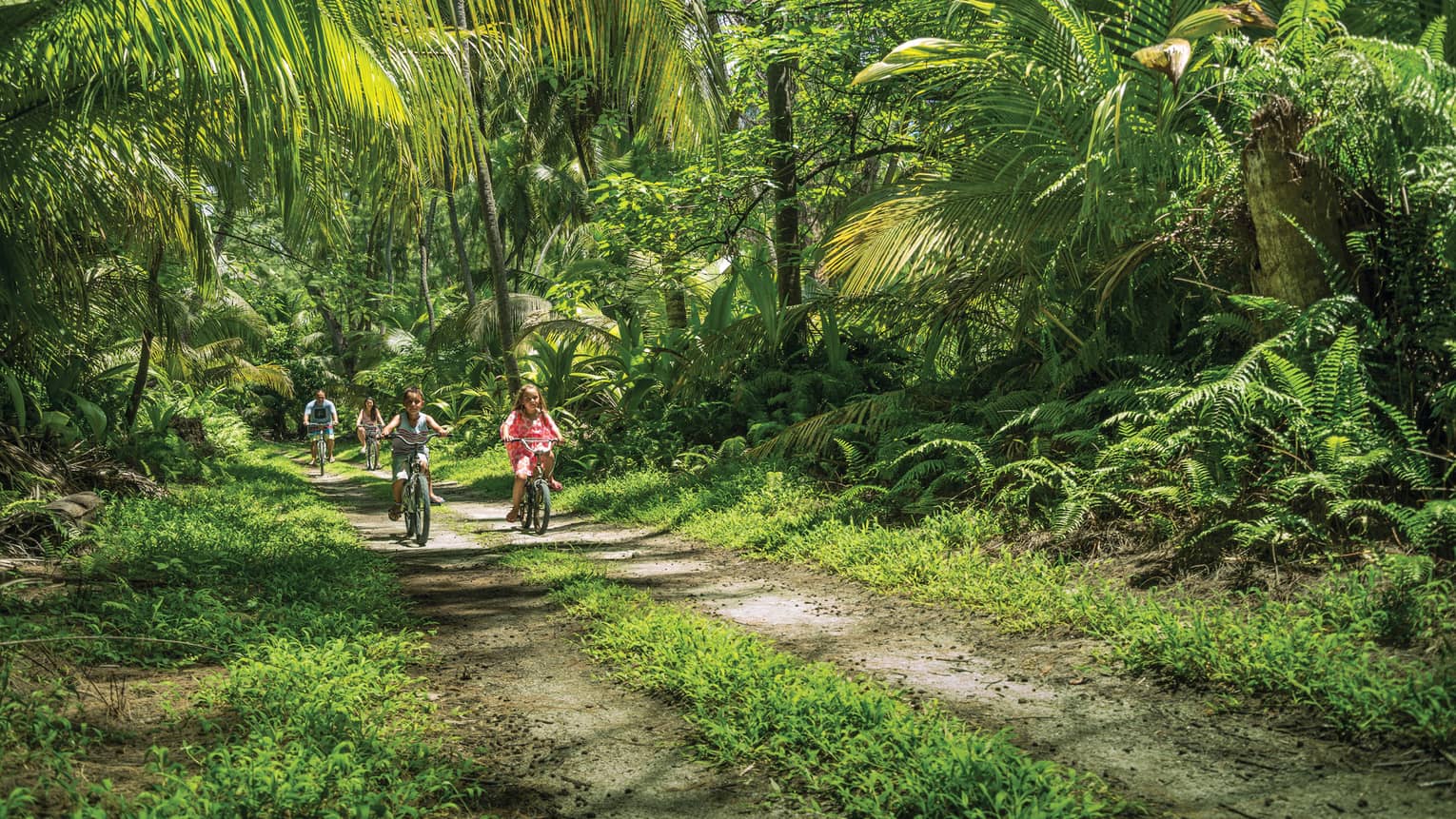 Family rides bicycles down dirt paths through lush green forest