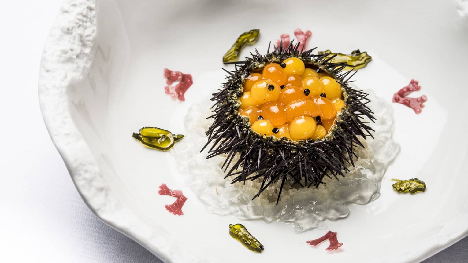 Gourmet Sea Urchin on white plate at Le Cinq