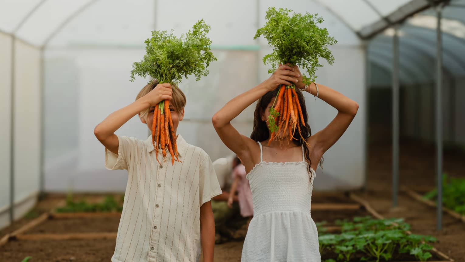 Two people standing in a greenhouse, holding up bunches of carrots