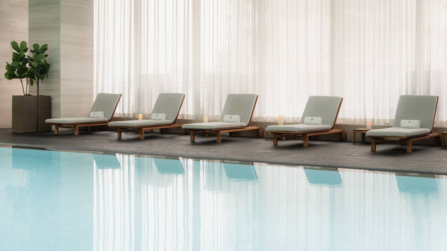 Indoor pool with row of relaxation lounges and potted plant
