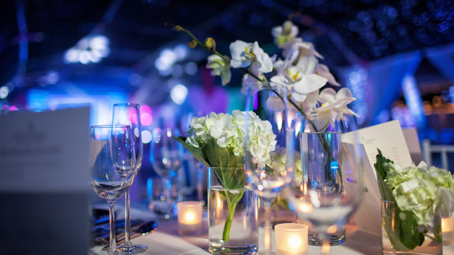 Close up of white flowers, glassware on wedding reception dining table, blue lights in background