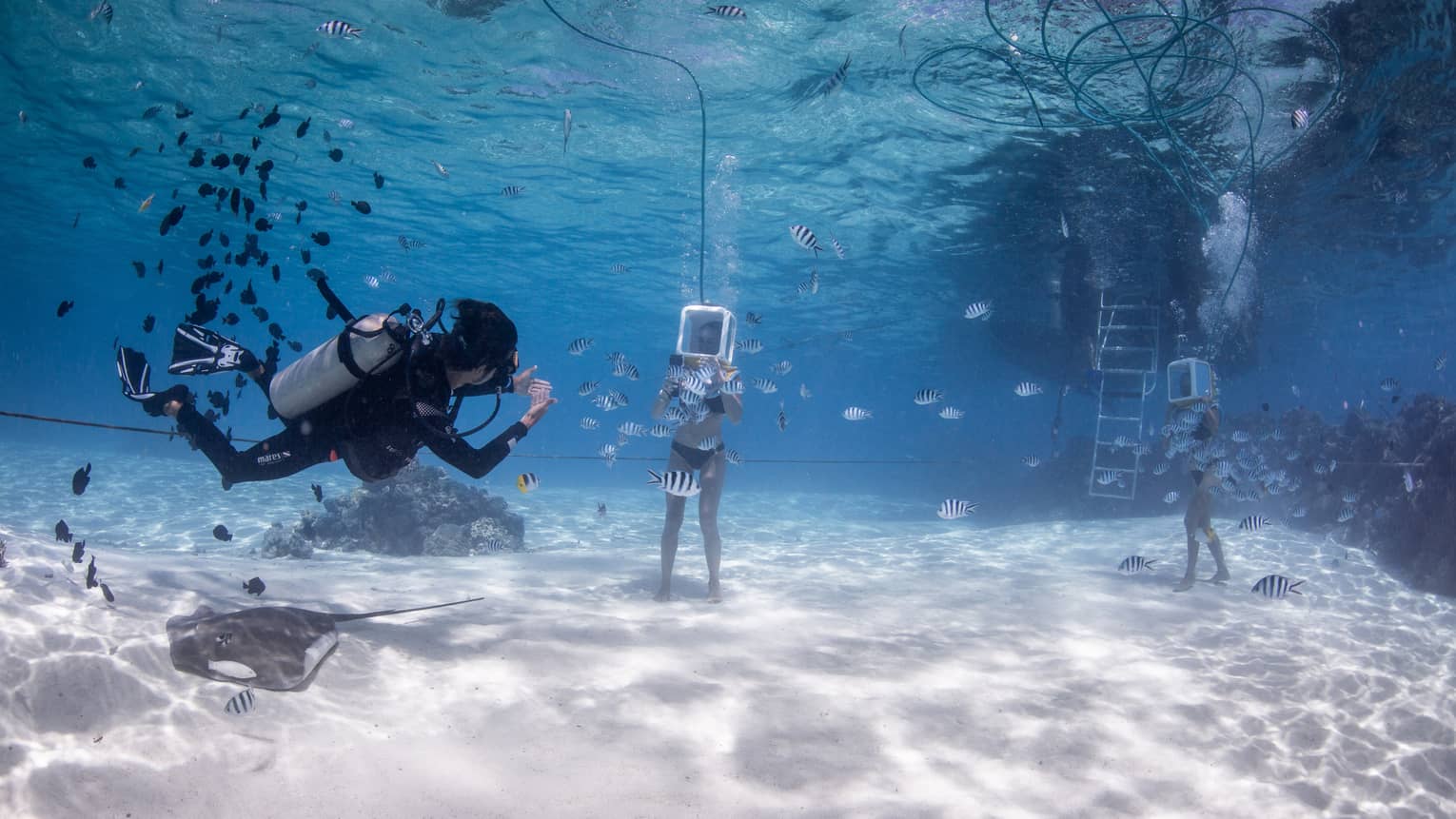 Two guests in diving helmets attached to hoses walk underwater across the sun-dappled sand through schools of striped fish.