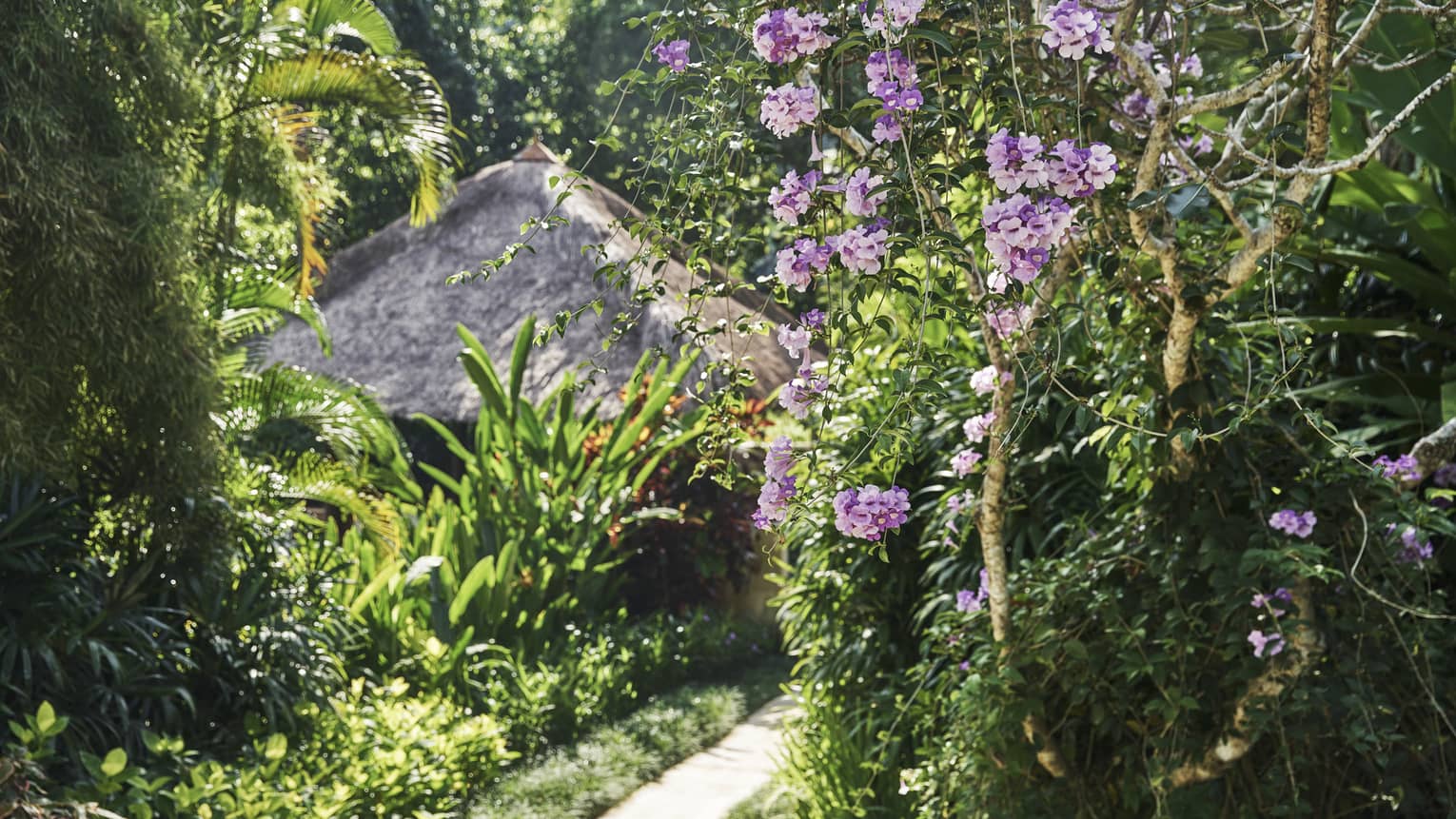 Pink and purple flowers and green foliage highlight the pathway to a villa