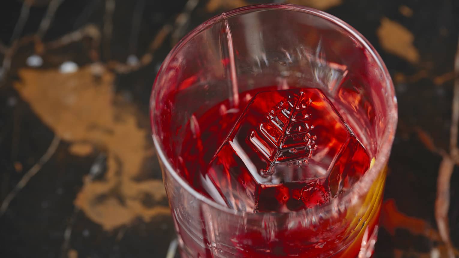 Negroni with Four Seasons ice cube