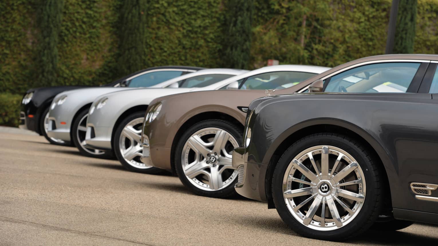 Side view of various luxury sedans lined up on front drive