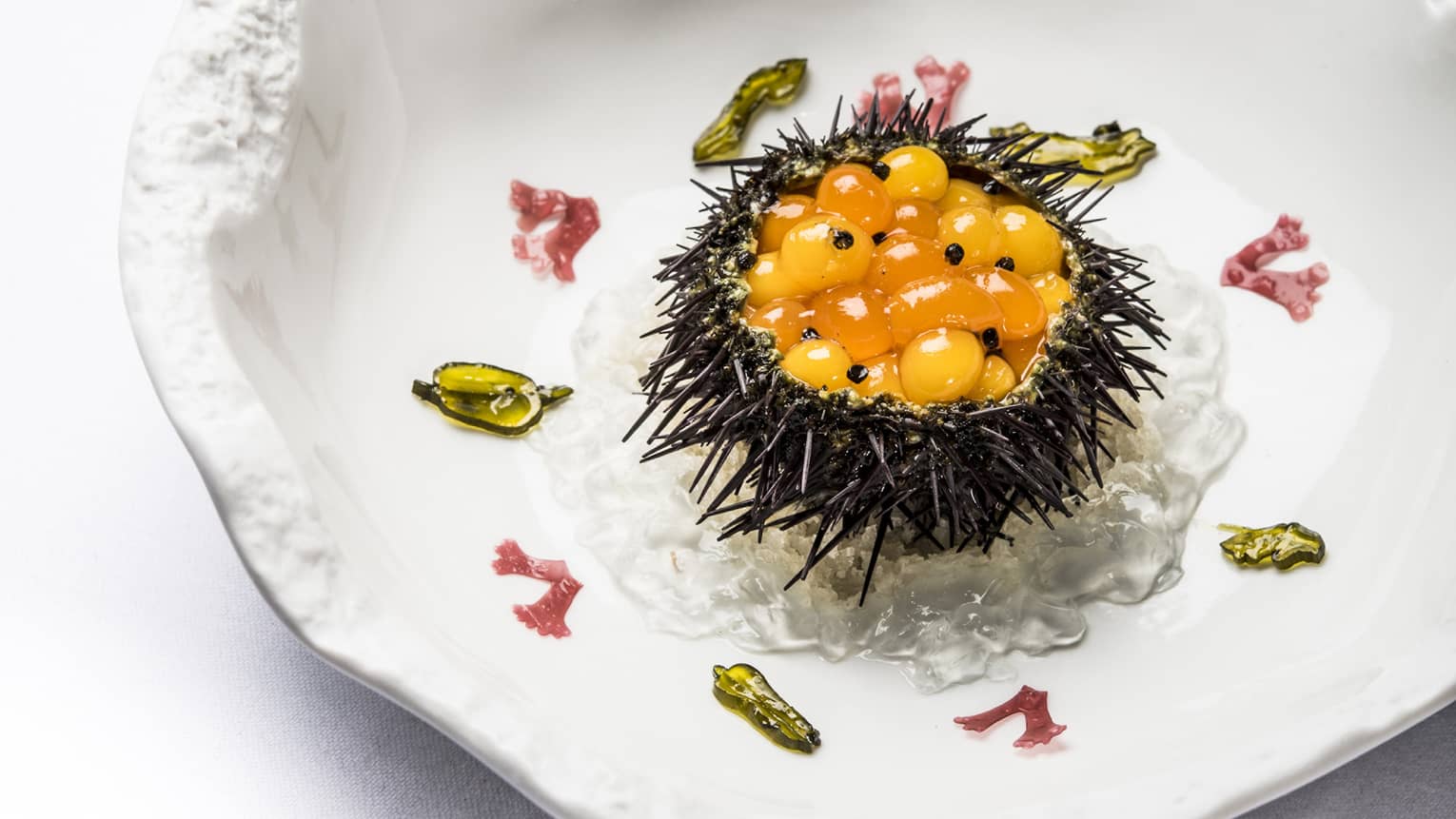 Gourmet Sea Urchin on white plate at Le Cinq