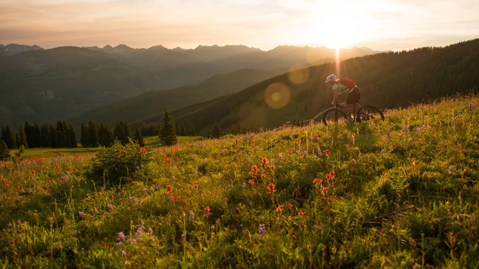 Sun sets over mountain meadow