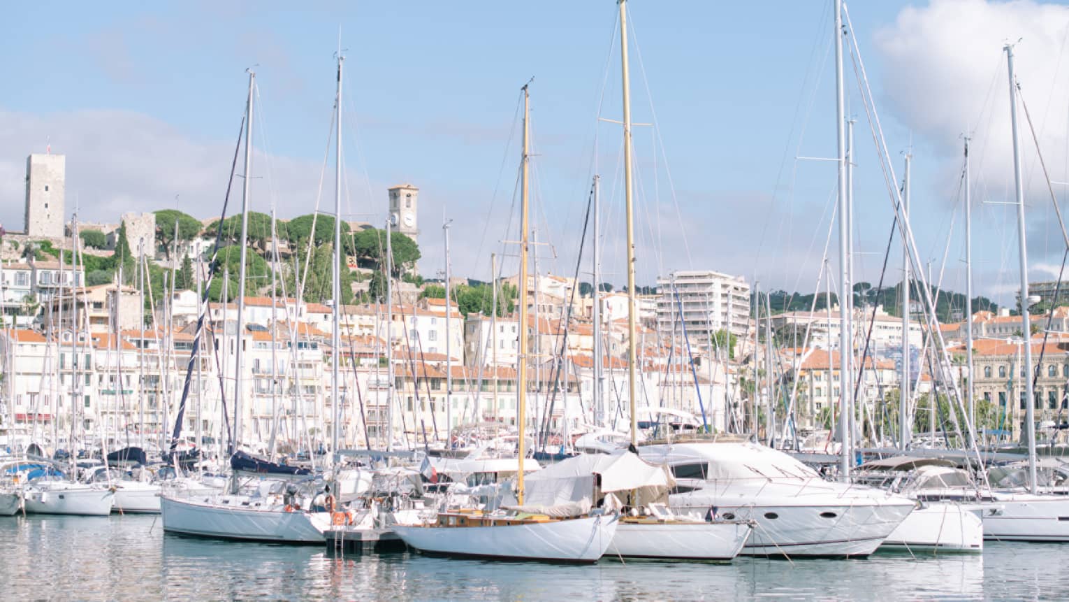Multiple sailboats docked at a harbour
