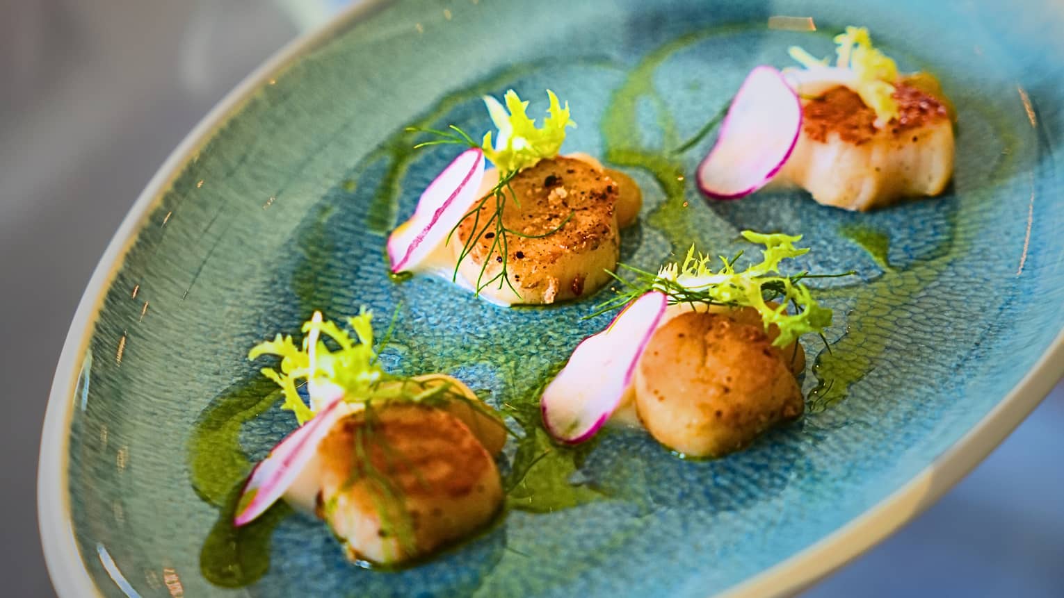 A person holding a blue plate with four scallops on it