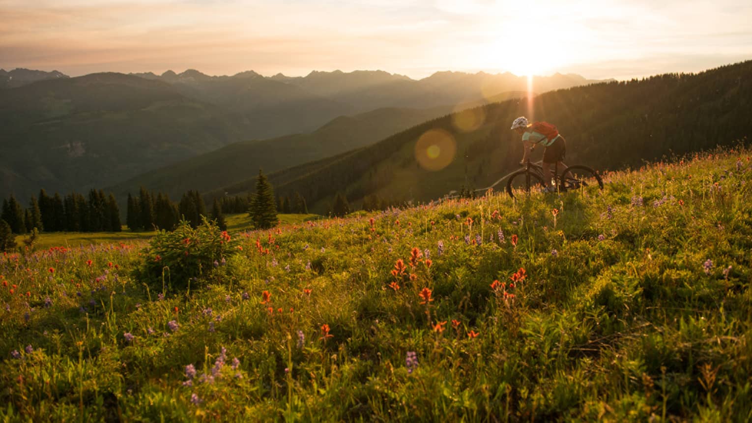 Sun sets over mountain meadow