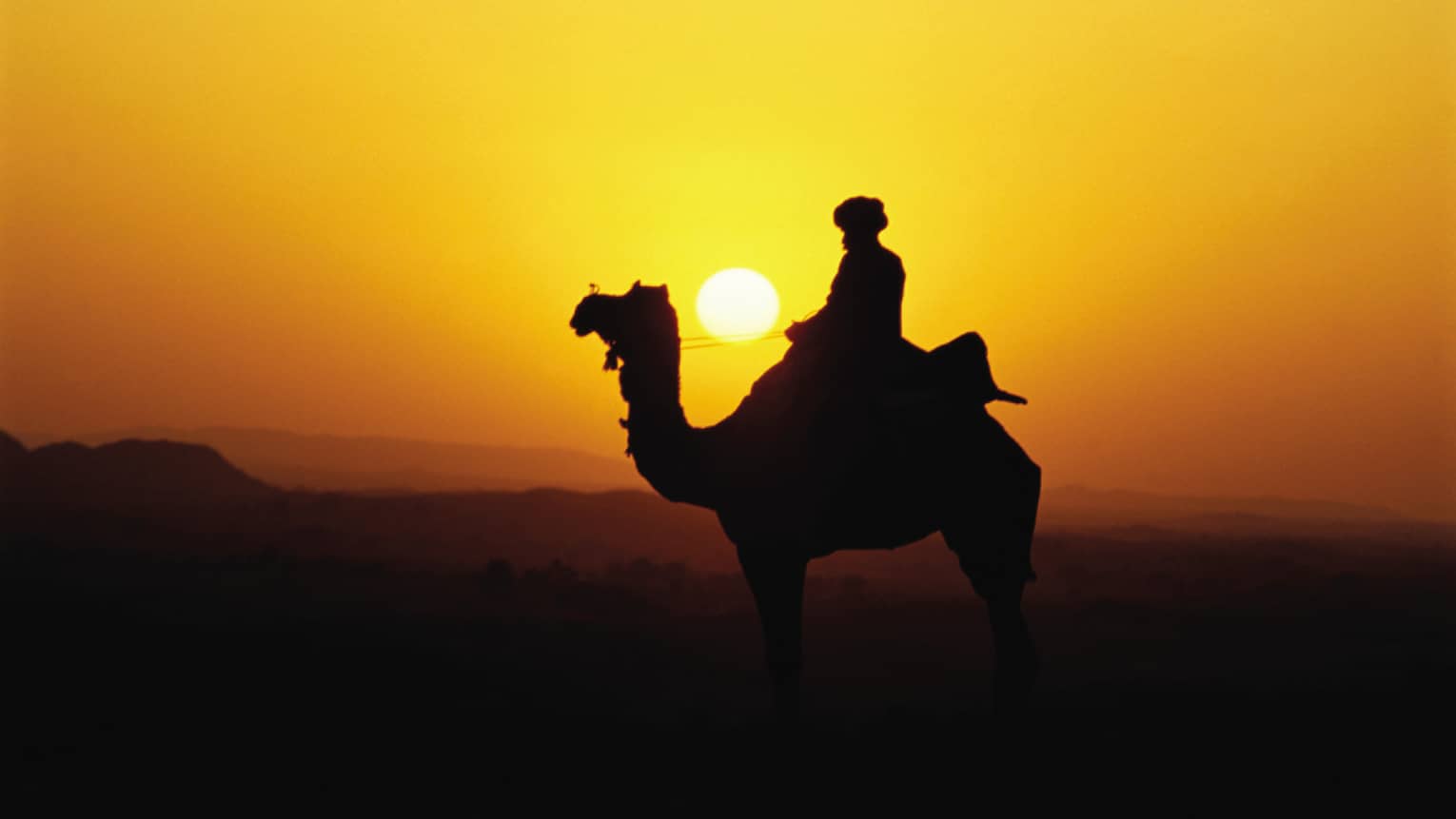 Silhouette of person riding camel against orange sun, sky