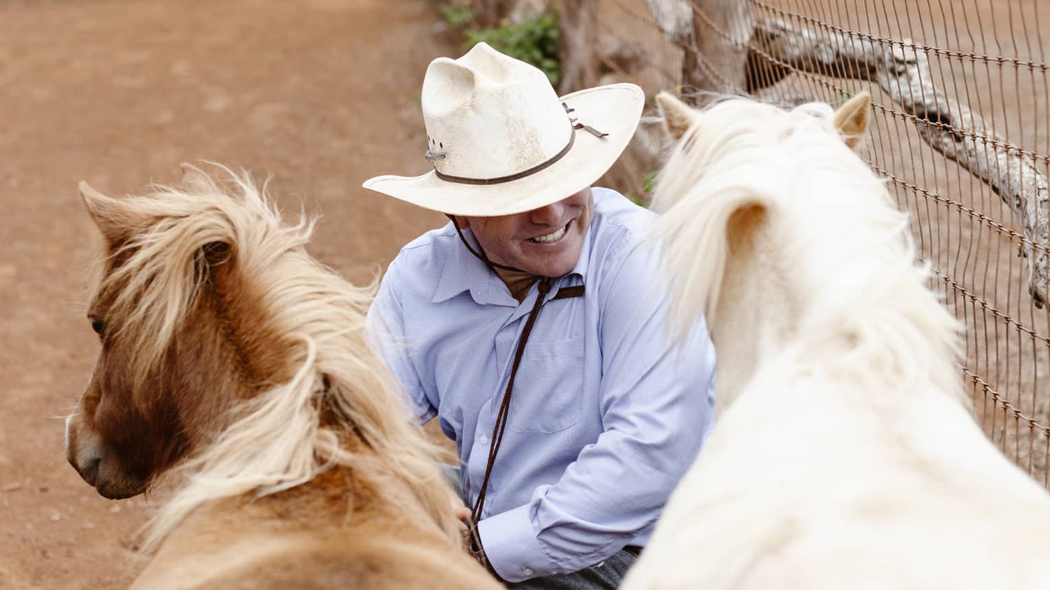 Person wearing jeans, blue button-down shirt and white cowyboy hat sits next to two horses ? one white, one brown ? next to a fench on a ranch