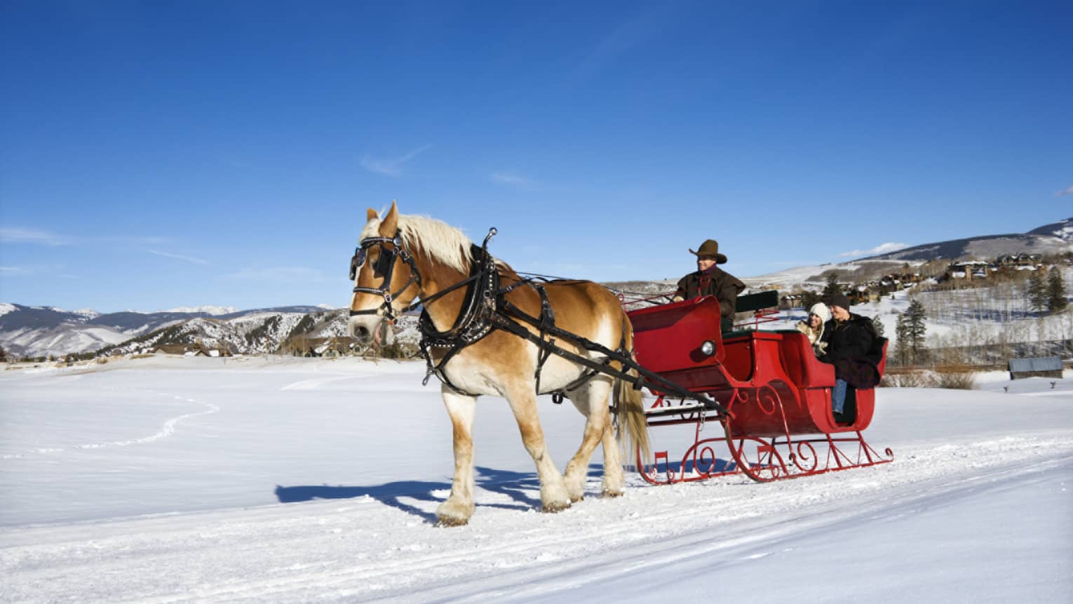 A horse pulling a red coloured sleigh with three people on it through white snow.