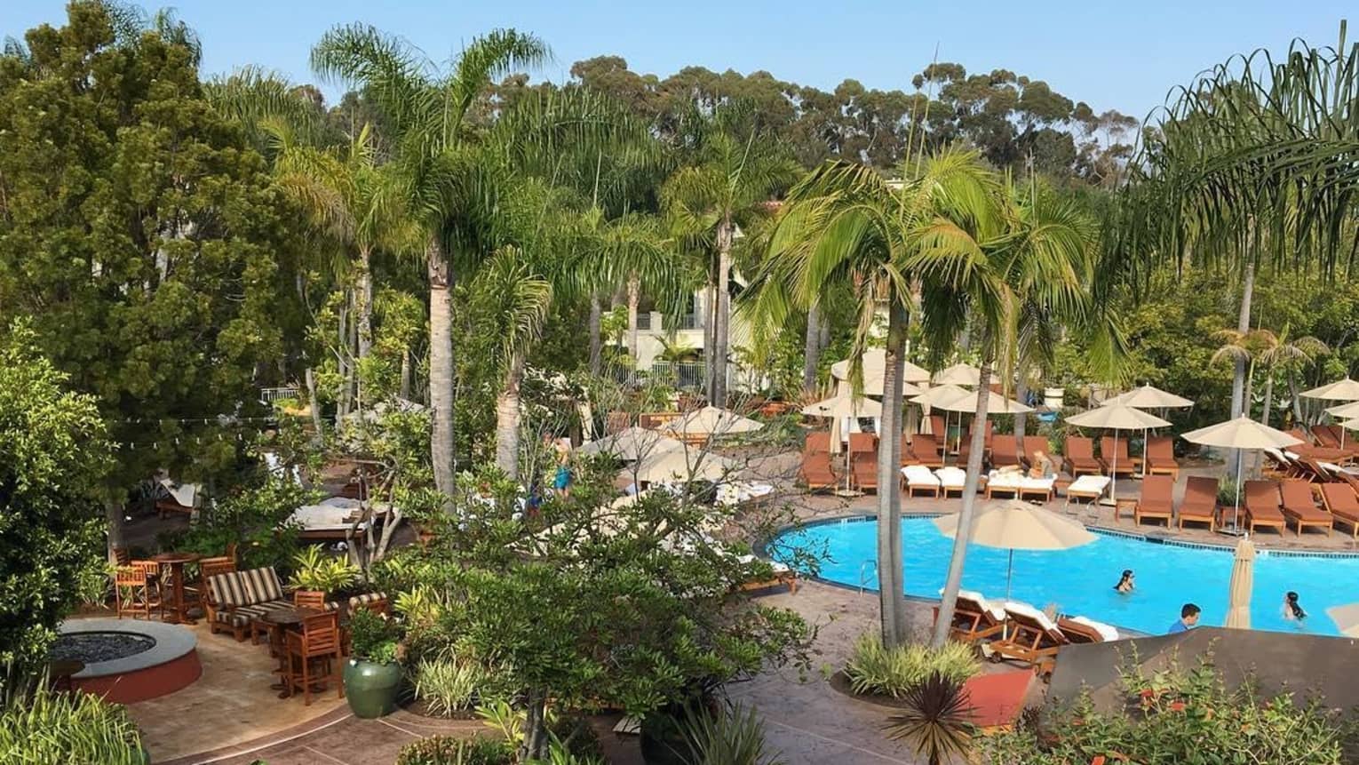 Aerial view of hotel swimming pool, deck and lounge chairs surrounded by tall palm trees, tropical plants 