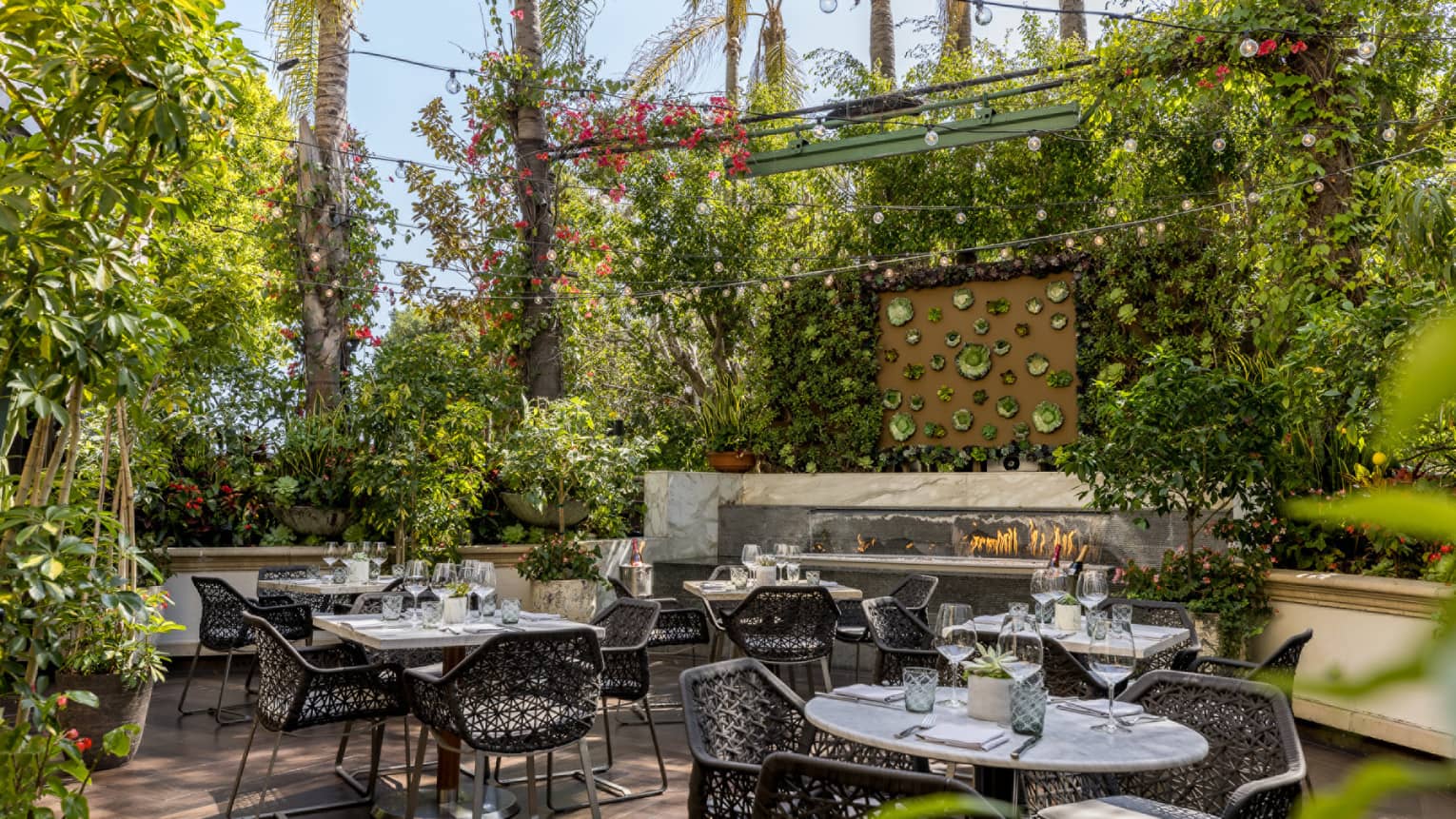 A courtyard area with round table and metal chairs surrounded by plants.