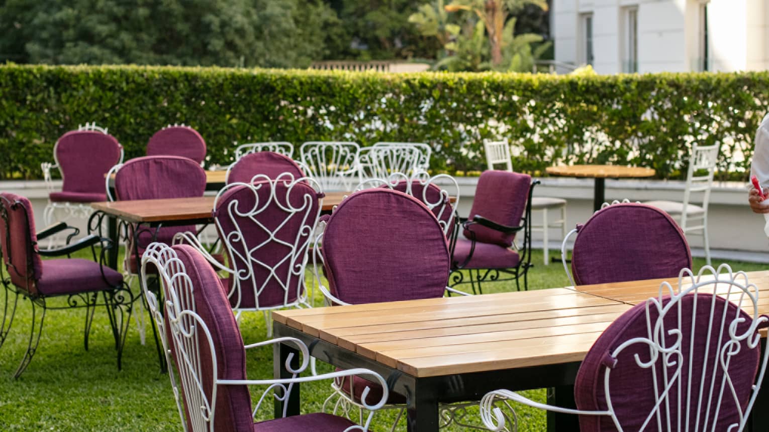 An outdoor terrace with purple chairs. 
