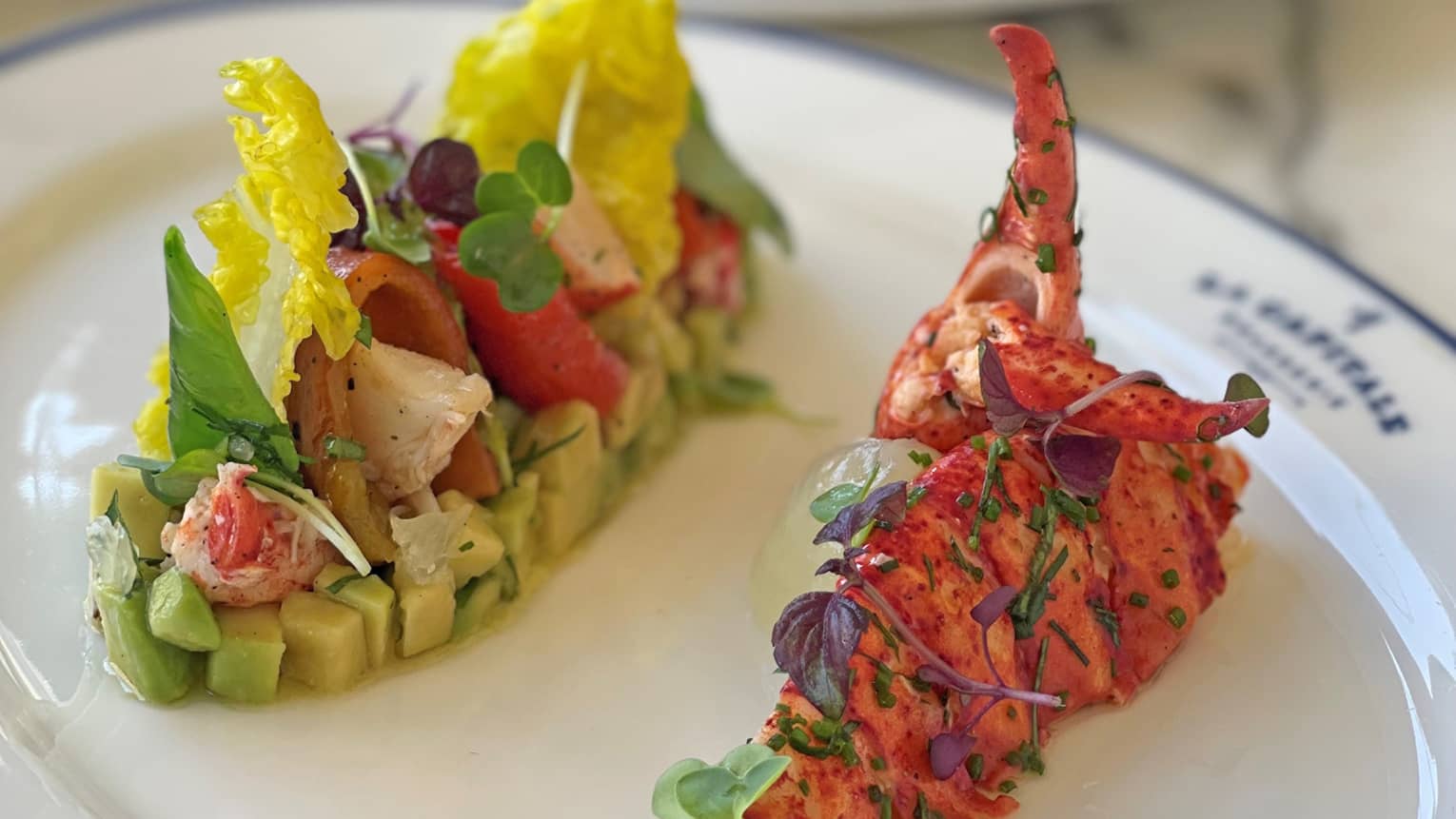 Half Lobster Tail with avocado salad on white plate